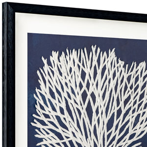HomeRoots Sea Fan I Coastal Shadowbox Wall Art - Modern Black Textured Print for Home Decor Accent Piece 576629