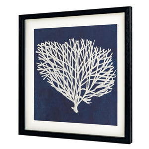 HomeRoots Sea Fan II Black Shadowbox Art - Contemporary Coastal Elegance for Modern Home Decor Spaces 576630
