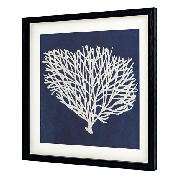 HomeRoots Sea Fan II Black Shadowbox Art - Contemporary Coastal Elegance for Modern Home Decor Spaces 576630