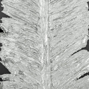 HomeRoots Metallic Feather Shadowbox Wall Art - Modern Textual Decor with Silver Accents for Chic Spaces 576635