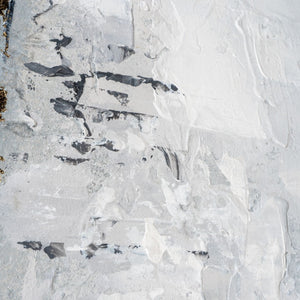 HomeRoots Silver Hand-Painted Floater Frame Wall Art - Modern Metallic Masterpiece for Luxe Interiors & Spaces 576675