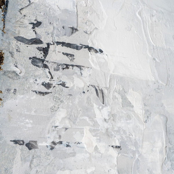 HomeRoots Silver Hand-Painted Floater Frame Wall Art - Modern Metallic Masterpiece for Luxe Interiors & Spaces 576675