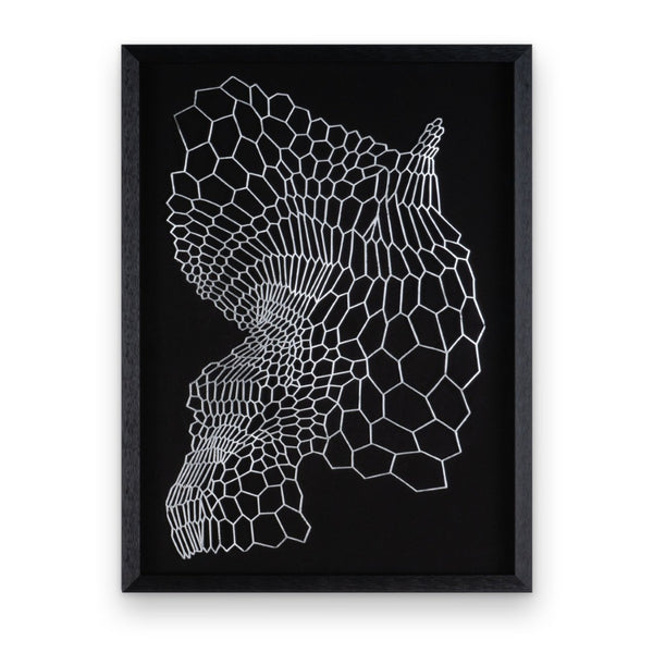 HomeRoots Wild Badlands Black Shadowbox Textual Art – Striking Metal Wall Decor for Modern Spaces, 34.5” H 576687