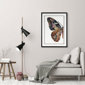 HomeRoots Balletic Butterfly II 24" x 32" Shadow Box Art - Modern Collage with Black Frame for Stylish Décor 576698