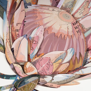 HomeRoots Petal Palette Collage I - 30" Brown Shadow Box Wall Art for Modern Home Décor & Stylish Spaces 576699