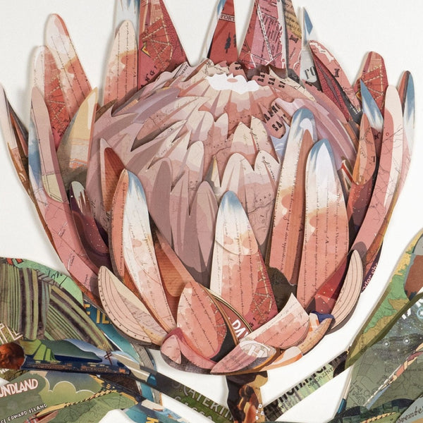 HomeRoots Petal Palette Collage II Brown Shadowbox Art – Modern Textural Wall Décor for Any Room Elegance 576700