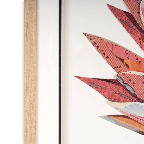 HomeRoots Petal Palette Collage III - 30" Shadow Box Art with Brown Frame for Stunning Wall Décor Upgrade 576701