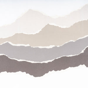 HomeRoots Torn Terrain I Gray Shadowbox Textual Art - Modern Framed Wall Décor for Any Room Style 576704