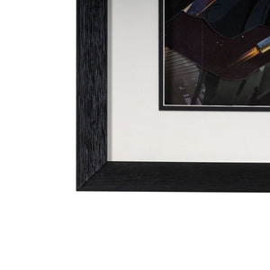HomeRoots Feathered Mosaic Parrot Shadowbox Wall Art - Bold Contemporary Décor for Stylish Living Spaces 576723