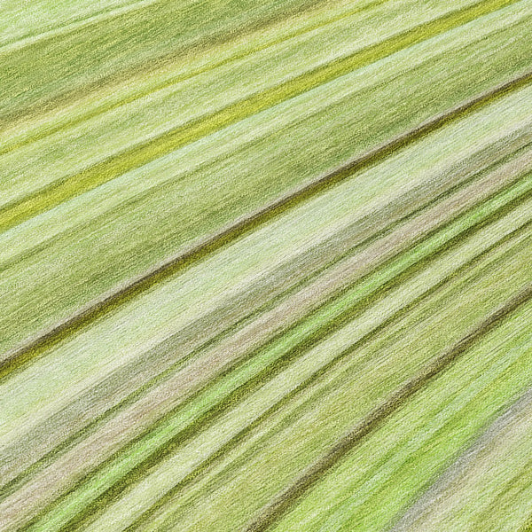 Homeroots 3' Stylish Abstract Artichoke Green Washable Indoor Outdoor Area Rug For Elegant Spaces 8' Round Polyester 577321