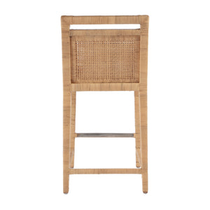 Butler Specialty Brielle Rattan Woven Counter Stool - Elegant Mahogany Design For Coastal Modern Dining Spaces Light Brown Mahogany,Rattan 5778404-butler