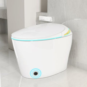 English Elm Unique Smart One Piece Toilet Bidet Heated Seat Auto Flush Warm Air Dryer Spa W3133P384811