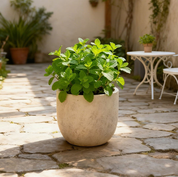 English Elm Large Concrete Style Magnesium Oxide Round Planters Set for Patio and Indoor Decor W5212P434277