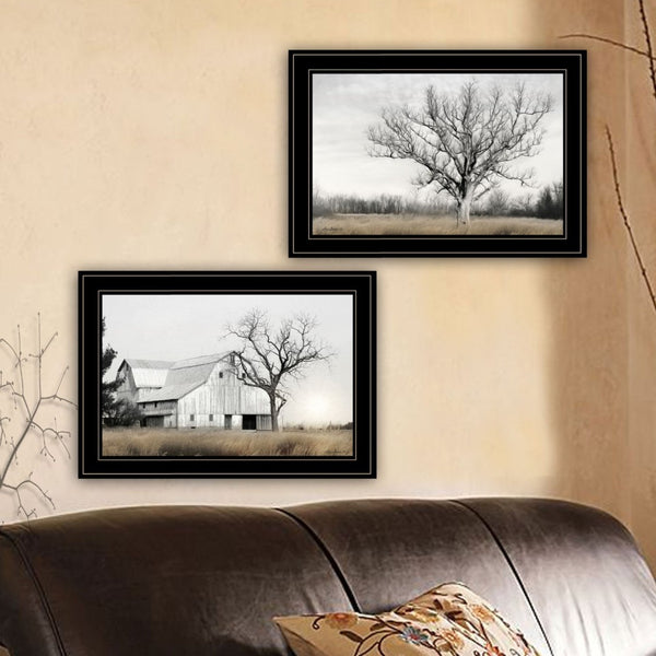 English Elm Trendy Decor 4u Ohio Fields Framed Art Pastoral Print for Farmhouse Living Room B06787203
