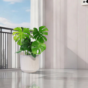 English Elm Ceramic Planter - Hand-Crafted Modern Flowerpot For Indoor & Outdoor Use In Elegant White Finish W3273P326369