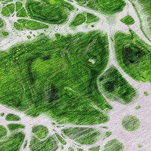 Homeroots 3' Artichoke Green Nautical Area Rug - Washable Indoor Outdoor Design For Home And Patio Use 8' Round Polyester 581481