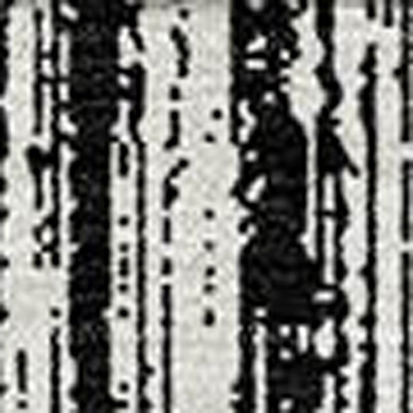 HomeRoots 5' Black and Ivory Striped Area Rug - Durable, Washable Design for Indoor and Outdoor Spaces 5' X 8' 585467