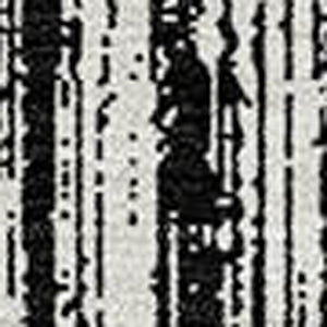 HomeRoots 9' Black and Ivory Striped Area Rug - Stylish, Washable Indoor/Outdoor Design for Any Space 9' X 12' 585470