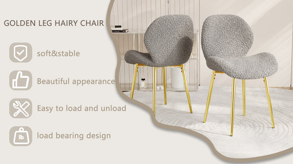 English Elm Modern Minimalist Grey Teddy Velvet Dining Chairs Set Of 2 With Gold Metal Legs For Stylish Comfort W1727P251125