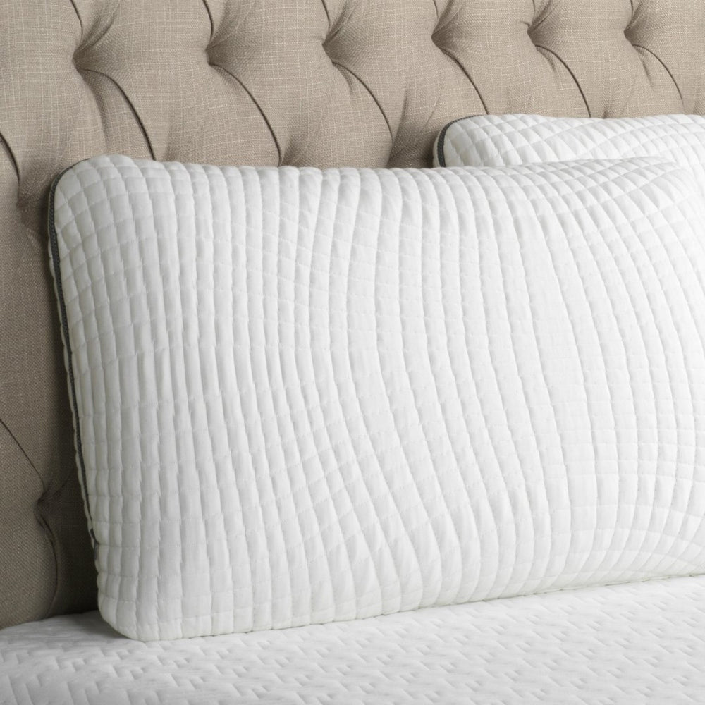 English Elm Bamboo Charcoal Memory Foam Queen Pillow with Ventilated Core for Cool Sleep B180P172211