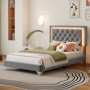 English Elm Twin Size Upholstered Bed Frame With Led Lights,Modern Velvet Platform Bed With Tufted Headboard,Grey