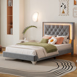 Twin Size Upholstered Bed Frame w/ LED Lights, Modern Velvet Platform Bed, Tufted Headboard, Grey