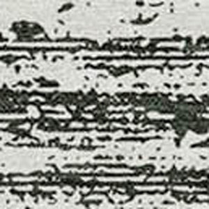 Homeroots 3' Black Ivory And Gray Striped Indoor Outdoor Area Rug - Stylish, Washable, And Stain Resistant! 3' X 5' Polyester 589656