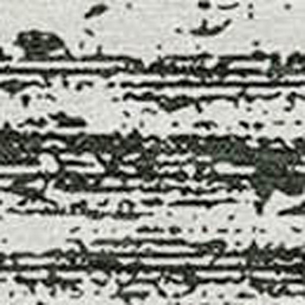 Homeroots 3' Black Ivory And Gray Striped Indoor Outdoor Area Rug - Stylish, Washable, And Stain Resistant! 3' X 5' Polyester 589656