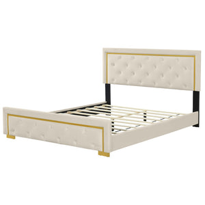 HomeRoots Beige Tufted Velvet Queen Bed Frame - Stylish Upholstered Centerpiece with Cozy Comfort & Elegance 590439