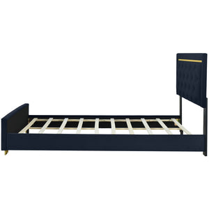 HomeRoots Black Tufted Velvet Queen Bed Frame - Modern Luxury with Plush Upholstery for Ultimate Comfort 590440
