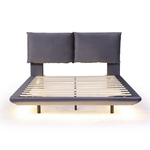 HomeRoots Gray Tufted Upholstered Queen Bed Frame with LED Lighting, USB Charging & Modern Elegance 590500