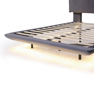 HomeRoots Gray Tufted Upholstered Queen Bed Frame with LED Lighting, USB Charging & Modern Elegance 590500
