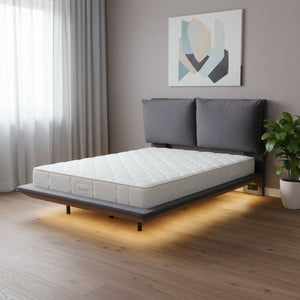 HomeRoots Gray Tufted Upholstered Full Bed Frame with USB Port, LED Lighting & Modern Design for Comfort 590505