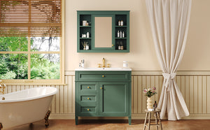 English Elm 36'' Modern Bathroom Vanity With Resin Sink, Mirror Cabinet, Soft-Close Drawers & 6 Shelves N710S236006F