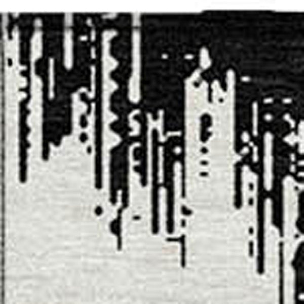 Homeroots 3' Durable Black And Ivory Chevron Indoor Outdoor Area Rug - Stylish, Washable, And Versatile Design 8' X 10' Polyester 591768