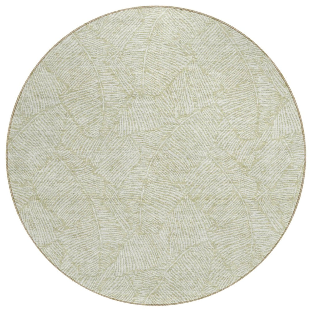 HomeRoots 5' Artichoke Green Floral Area Rug - Washable, Durable, and Stylish for Indoor & Outdoor Spaces 8' Round 594601