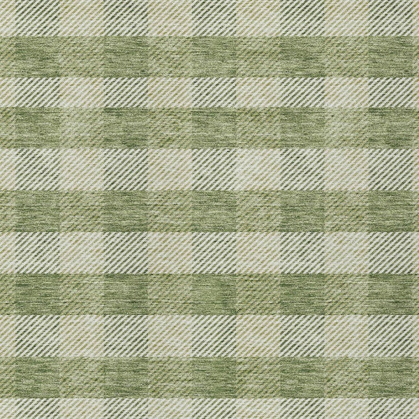 HomeRoots 5' Indoor Outdoor Area Rug - Stylish Green Plaid Design, Machine Washable, Durable for High-Traffic Areas 5' X 8' 595476