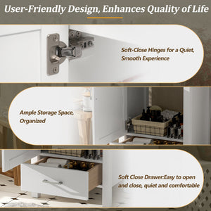English Elm 20.28'' 20.28" Modern Bathroom Vanity with Ceramic Sink, Solid Wood Frame, Soft-Close Drawer & Cabinet - Space-Saving Design White N729P277755K