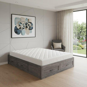 HomeRoots Ash Gray Wood Queen Bed Frame with Built-in Storage Drawers – Modern Platform Design for Comfort 596576