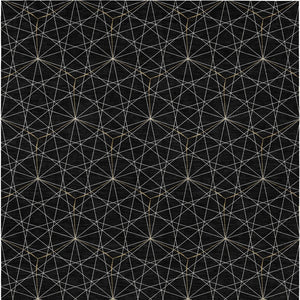 Homeroots 3' Black And Ivory Geometric Washable Area Rug - Perfect For Indoor And Outdoor Spaces, Durable Design 5' X 8' Polyester 596717