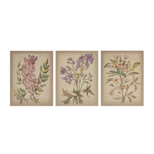 Madison Park Linen Botanicals Transitional Illustration 3-piece Canvas Wall Art Set MP95C-0037 Multi