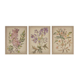 Linen Botanicals Transitional Illustration 3-piece Canvas Wall Art Set