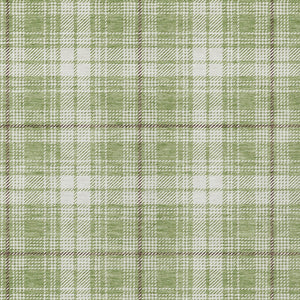Homeroots 3' Stylish Artichoke Green Brown And Ivory Plaid Washable Area Rug For Indoor And Outdoor Use 9' X 12' Polyester 597073