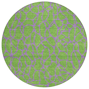 HomeRoots 5' Geometric Lime Green and Purple Area Rug - Durable, Washable Design for Indoor and Outdoor Use 8' Round 599210