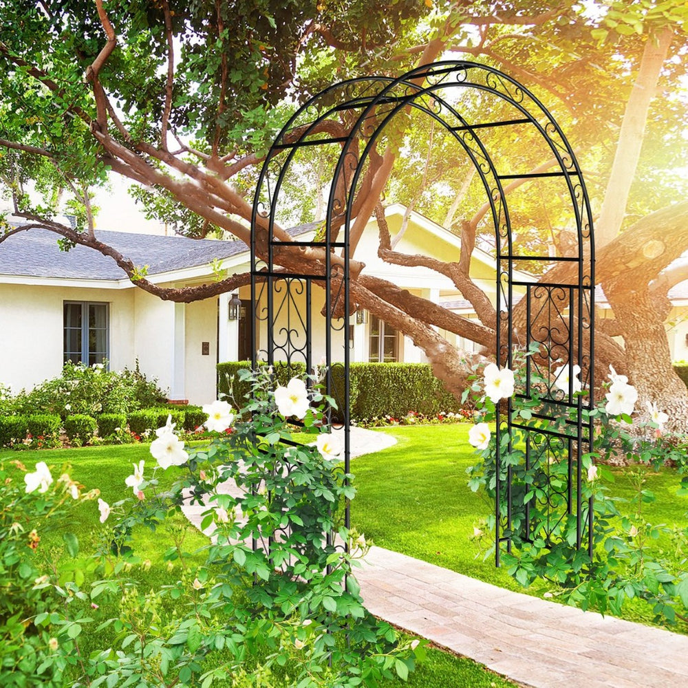English Elm Metal Garden Arch Powder Coated Steel Frame for Climbing Roses and Pathway Decor W1586P268781