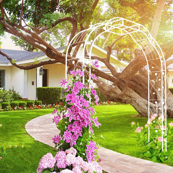 English Elm Metal Garden Arch Powder Coated Steel Trellis for Climbing Roses Outdoor Weddings Cream White W1586P268771