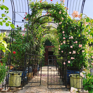 English Elm Metal Garden Arch with Planter Stands Powder Coated Steel Climbing Rose Support W158681132