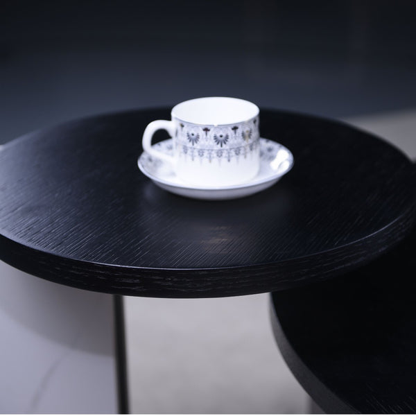 English Elm Set of 2 Round Sintered Stone Nesting Tables Sleek Modern Accent for Living Rooms W2899P405894