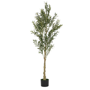 English Elm Christopher Knight Home® - 6' Olive Tree Faux Plant with Pre-Potted Black Plastic Base, Lifelike Leaves, Low Maintenance Décor Green N772P286766G