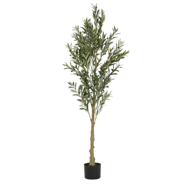 English Elm Christopher Knight Home® - 6' Olive Tree Faux Plant with Pre-Potted Black Plastic Base, Lifelike Leaves, Low Maintenance Décor Green N772P286766G